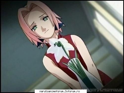 Fotogaleria Sakurei - **LadyTsunade** - SAKURA HARUNO