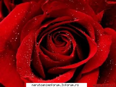 Poze - **LadyTsunade** - POZE