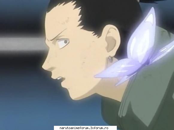 Poze cu Shikamaru - Itsumi-chan - SHIKAMARU NARA