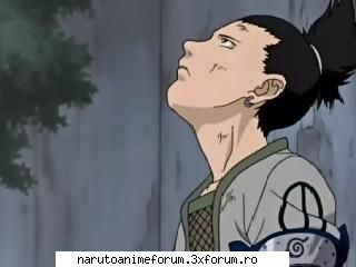 Poze cu Shikamaru - Itsumi-chan - SHIKAMARU NARA