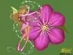 a opta poze cu winx
