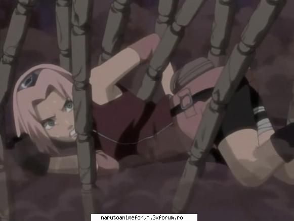 poze sakura shippuden ANTI-ShikaTema