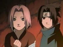 poze ANTI-ShikaTema