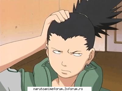 cat suta place shikamaru? 99%&nbsp; tareeeee