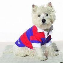 poze animale